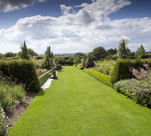 Visit to RHS Flower Show